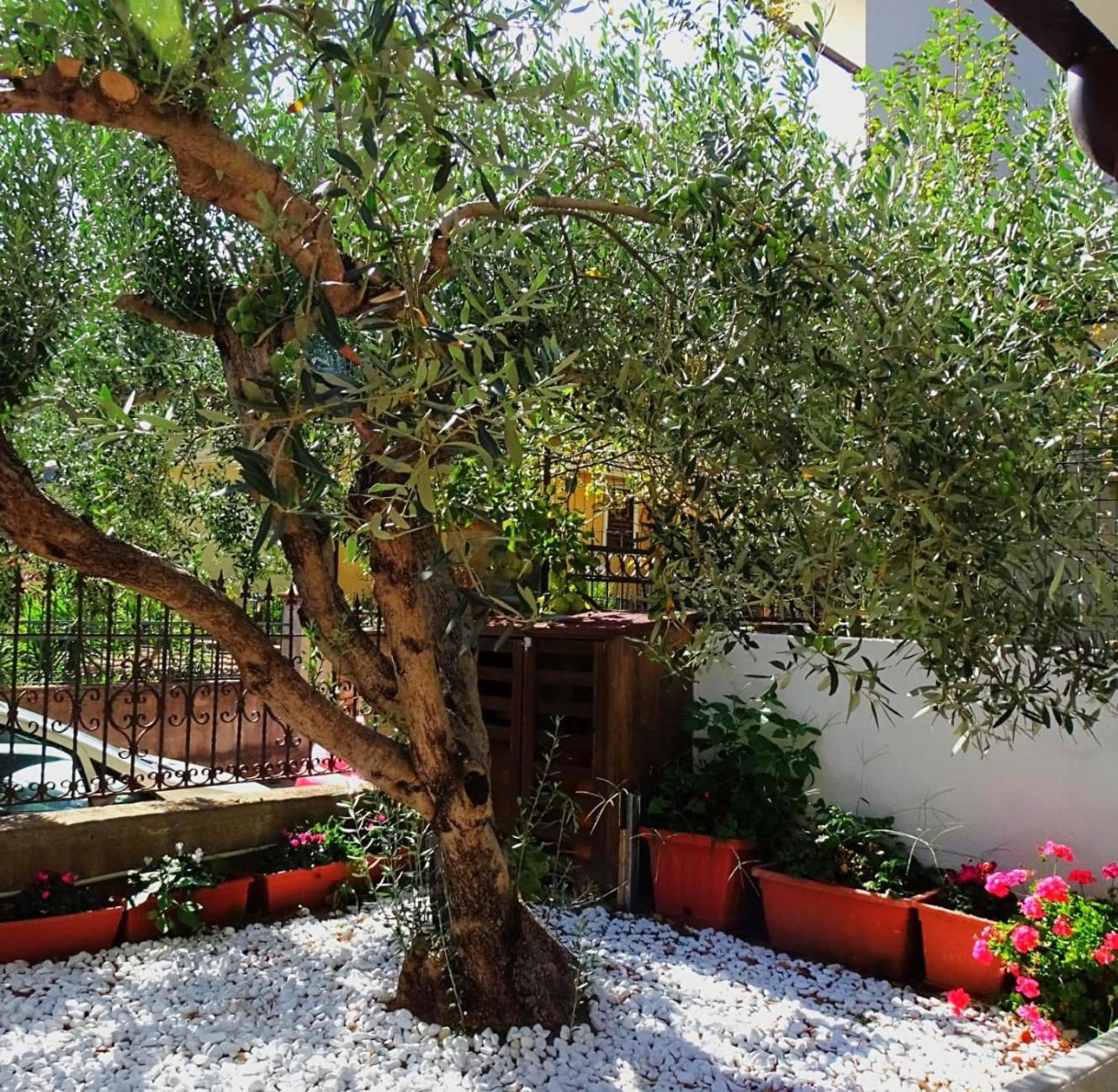 Le Sorgenti Guest House Ilbono Esterno foto